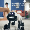 RobotNew